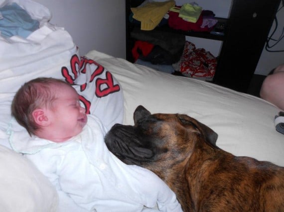 8) Wow, a new baby AND a new pillow!"