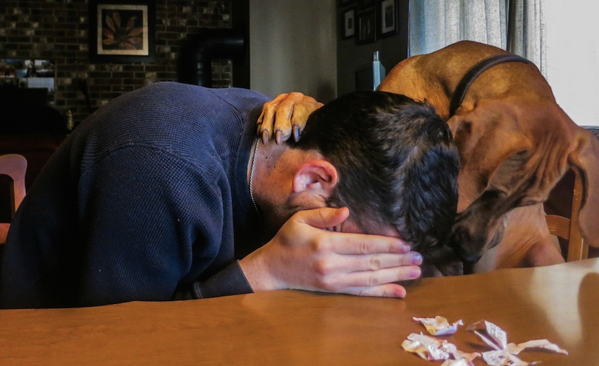14 Times Pets Knew That Their Owners Needed Comfort